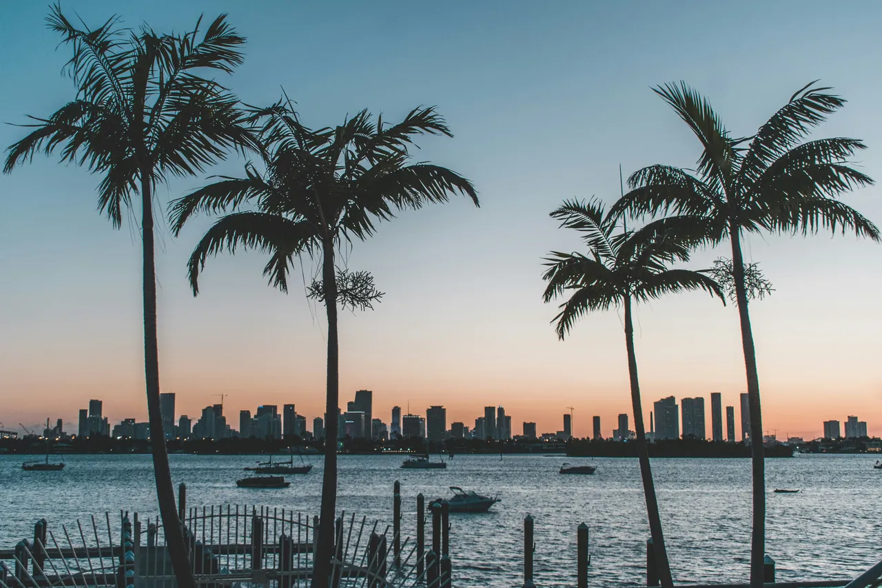 Palm trees framing a waterfront city skyline at dusk